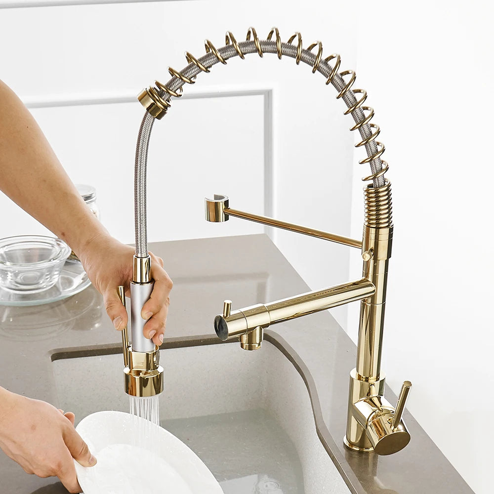 Gold Kitchen Faucets Gold Torneira Para Cozinha Faucet for Kitchen Sink Single Pull Out Spring Spout Mixers Hot Cold Water Tap