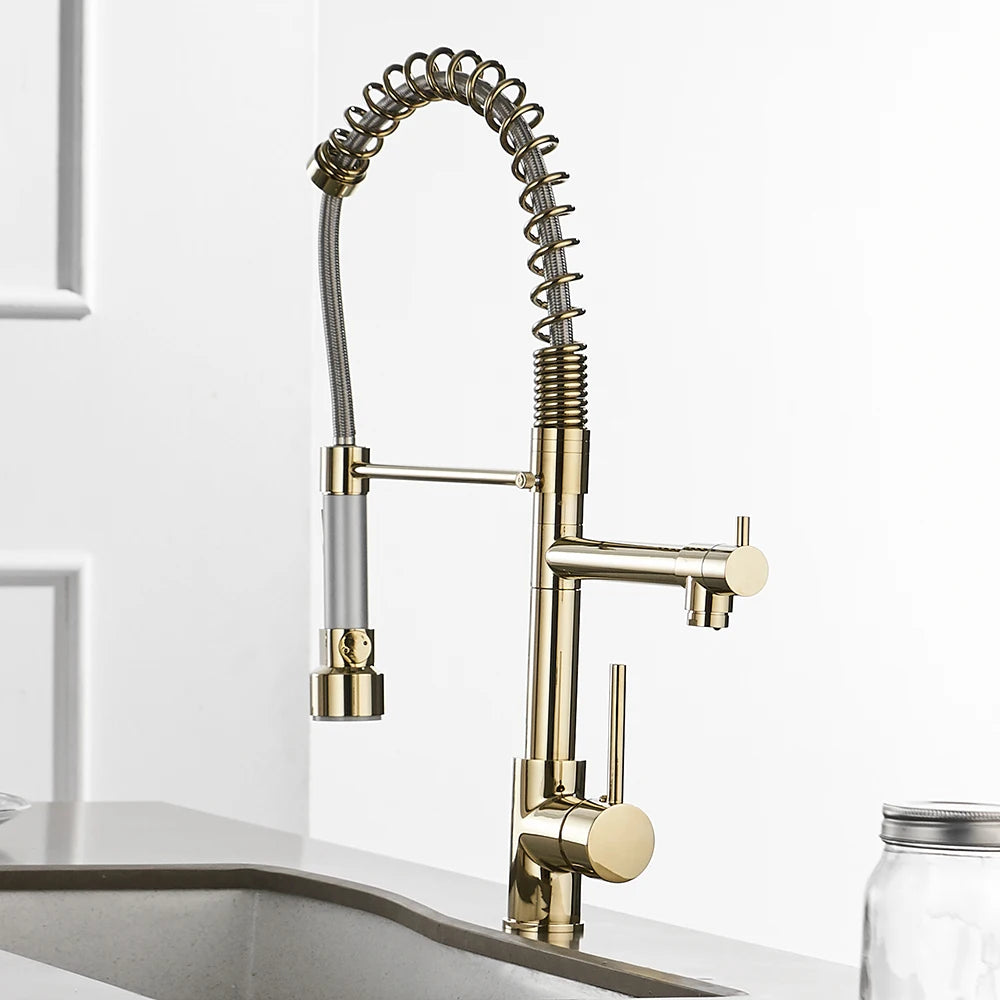 Gold Kitchen Faucets Gold Torneira Para Cozinha Faucet for Kitchen Sink Single Pull Out Spring Spout Mixers Hot Cold Water Tap