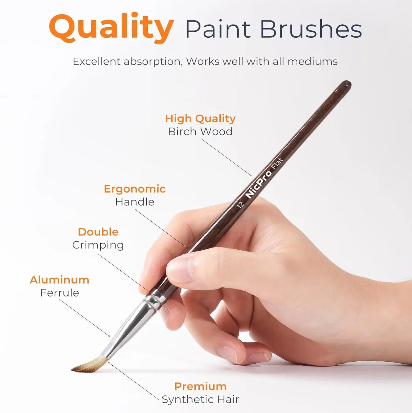 12 Piece Artist Paint Brush Set For Acrylic Oil Watercolor