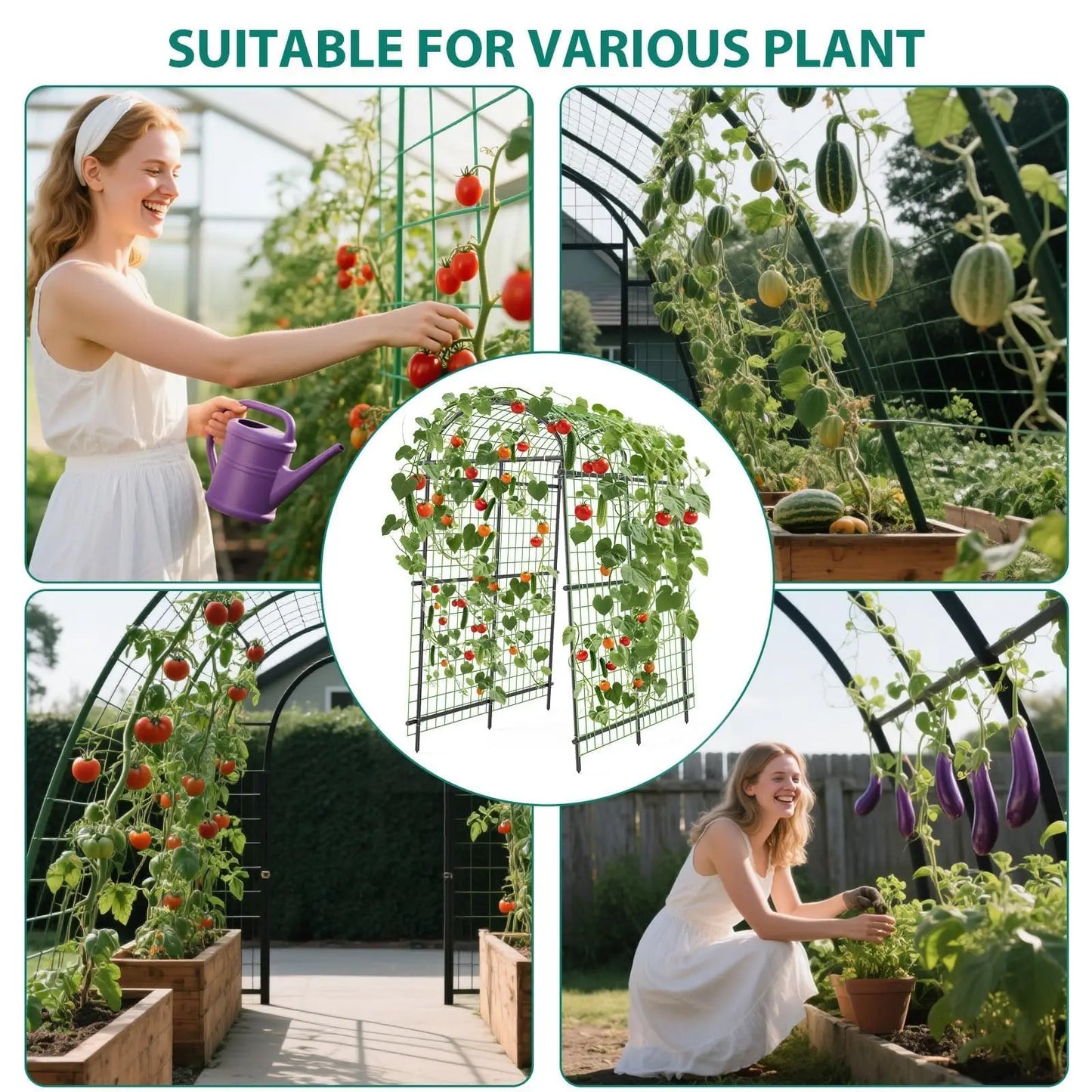 HiMISS Garden Arch Trellis Adjustable Outdoor Arbor For Climbing Plants
